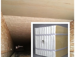 隧道窯用陶瓷纖維模塊廠(chǎng)家